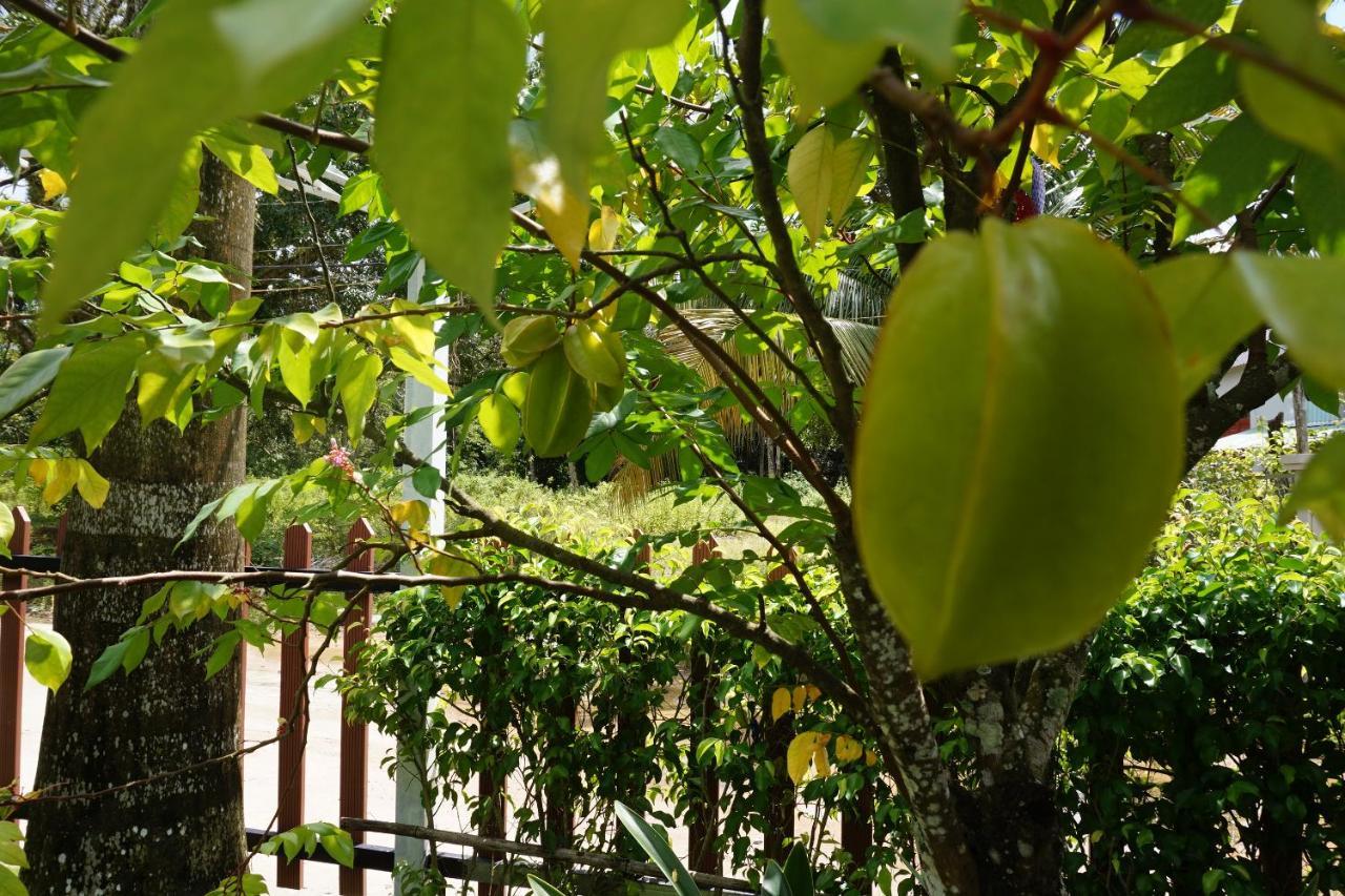 Phu Quoc Hotel Exterior photo